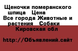 Щеночки померанского шпица › Цена ­ 25 000 - Все города Животные и растения » Собаки   . Кировская обл.